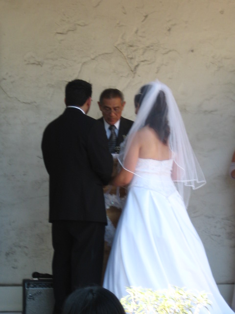 457x616 pixels (62K)